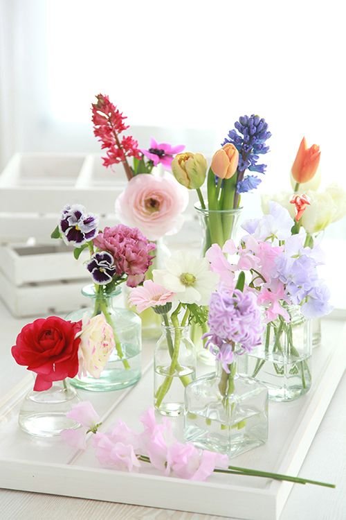 gallery - Flower | chihiro kubota: 