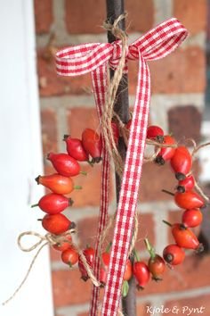 rose hip wreath- pretty! Can be dried and used year after year.