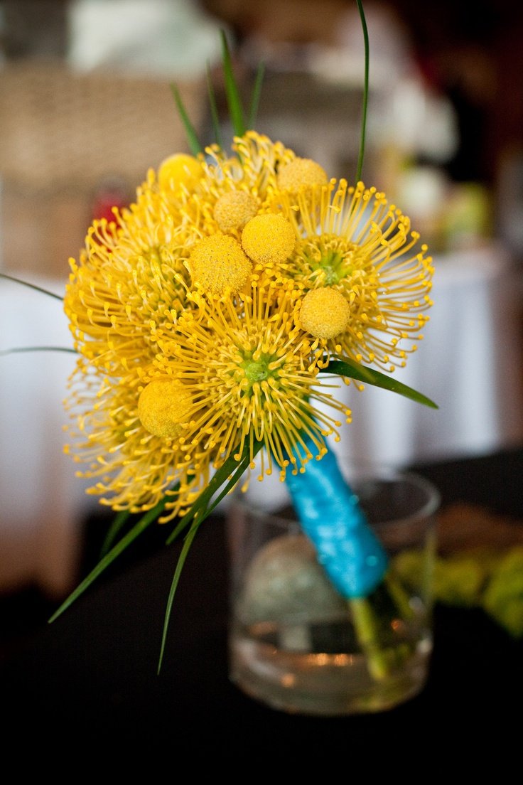 Yellow Pin Cushion Protea, Billy Balls, Lily Grass Bride's bouquet.: 