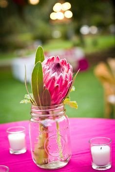 Protea wedding flowers | Coastal Bride