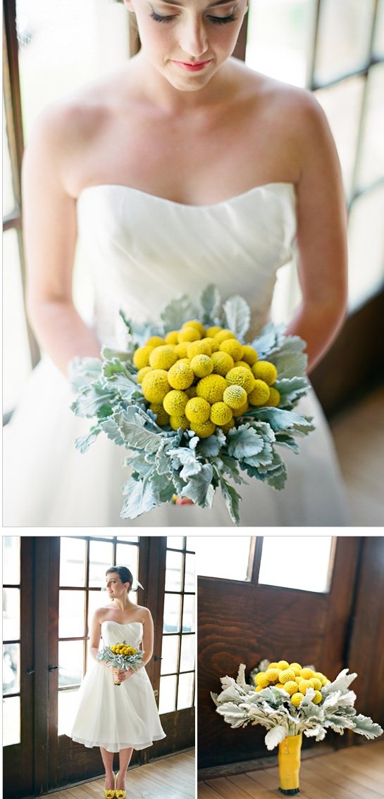 yellow billy button and lambs ear--not for a bouquet but reception flowers--cute and "woodlandy" would go with moss and succulents well: 