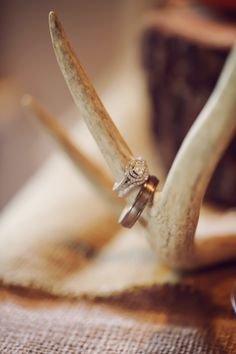 Groom's table was decorated in a rustic outdoor theme. This is their wedding rings. Photo by @Amanda Snelson Puckett