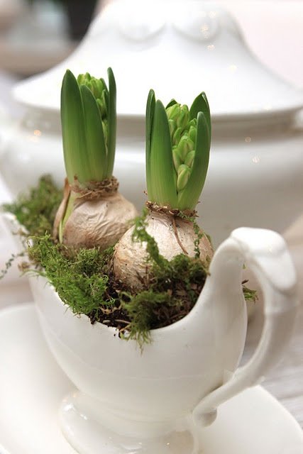 https://pankakertje.blogcdn.p3k.hu/files/2015/11/ee85bb3a13da51ef4203c0f5229388a7.jpg